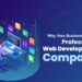 Why Your Business Needs a Professional Web Development Company